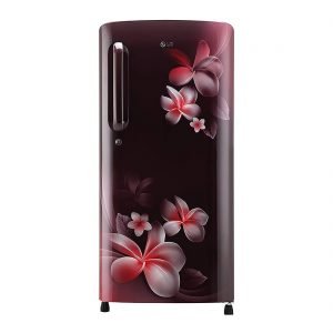 LG 190 L 5 Star ( 2019 ) Inverter Direct-Cool Single Door Refrigerator (GL-B201ASPY, Scarlet Plumeria)